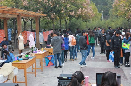 藝術之光閃耀校園 周末文化廣場活動開幕，推動國內文化藝術交流新篇章