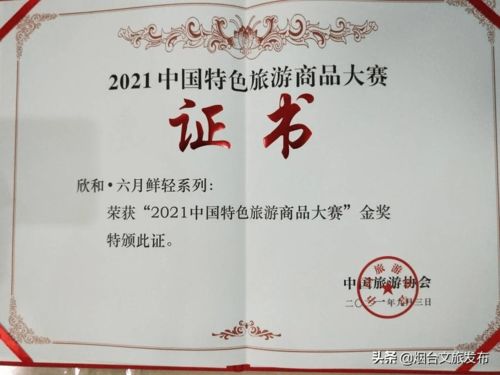 第三屆山東省文化和旅游商品創新設計大賽煙臺獲佳績 1金2銀2銅閃耀賽場，助推文化藝術交流創新